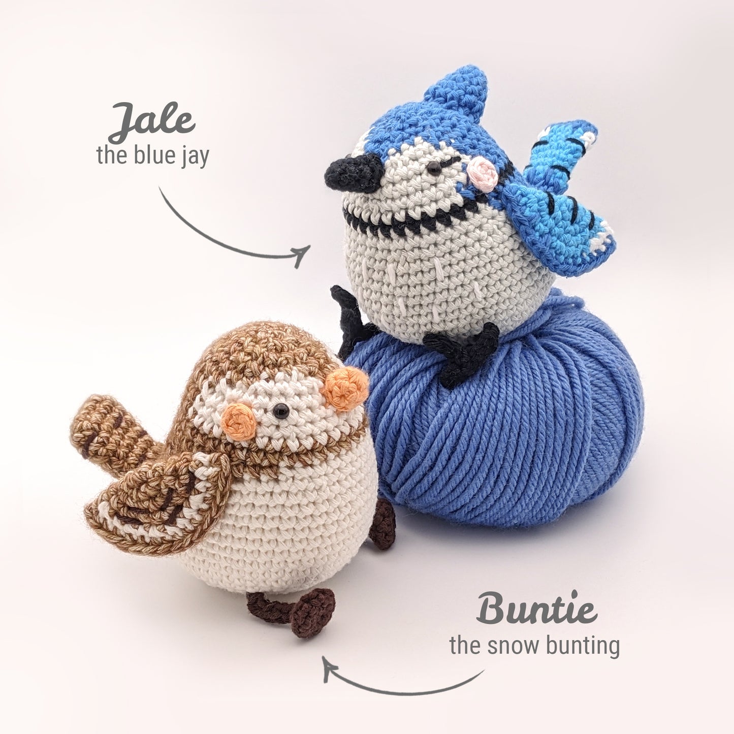 Bird (Birb) Gang - Physical Crochet Pattern